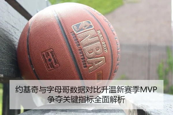 约基奇与字母哥数据对比升温新赛季MVP争夺关键指标全面解析